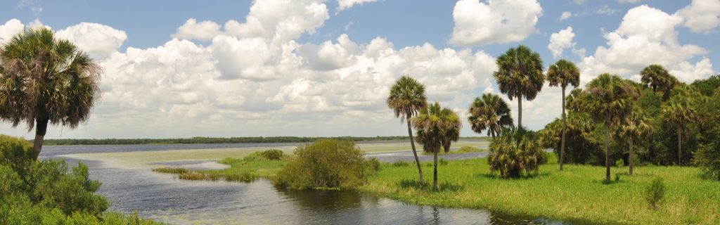 Increased Funding and Expanding Conservation Areas Boost Florida’s Ecosystem Protection